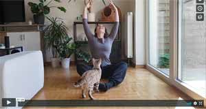 Martina - Modern Floorwork mit Kater