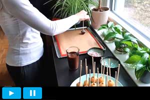 Backen mit Martina: Vanille-Cakepops